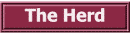 The herd, how it developed, and our policies